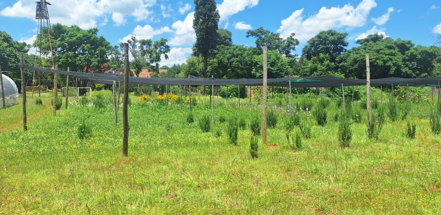 4 Bedroom Property for Sale in Mullerstuine Gauteng