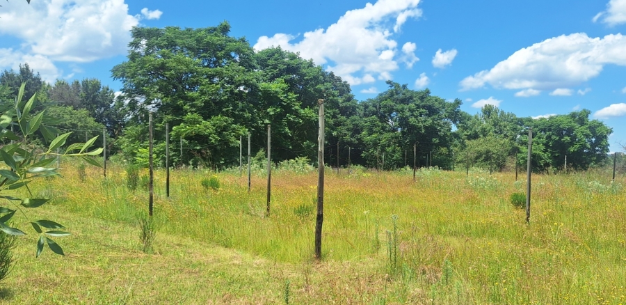 4 Bedroom Property for Sale in Mullerstuine Gauteng