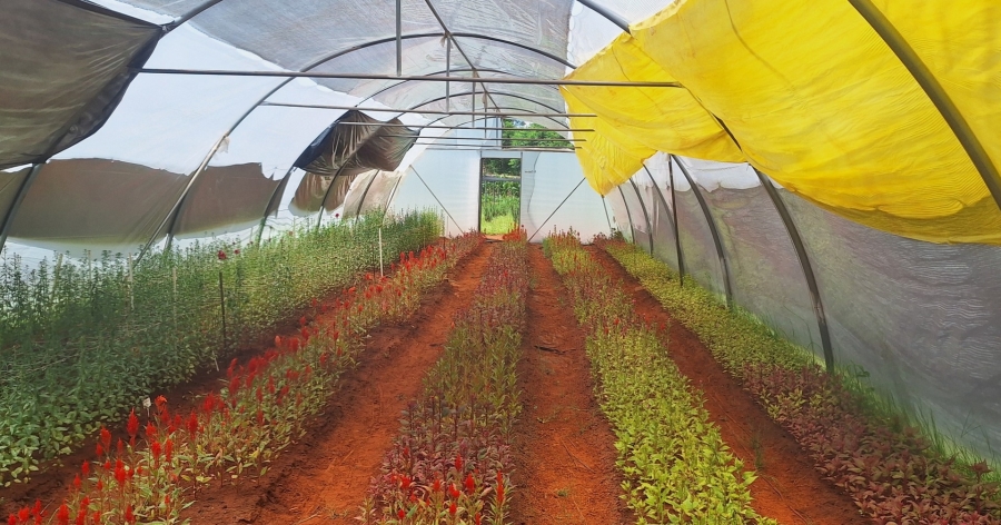 4 Bedroom Property for Sale in Mullerstuine Gauteng