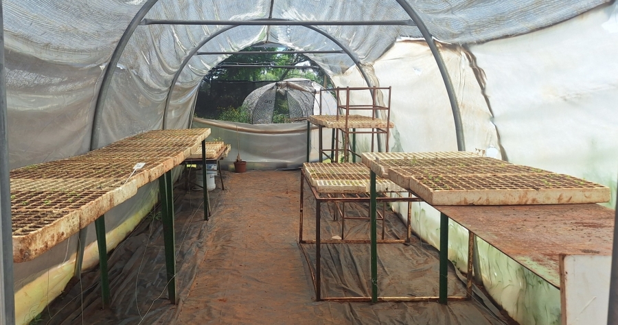 4 Bedroom Property for Sale in Mullerstuine Gauteng