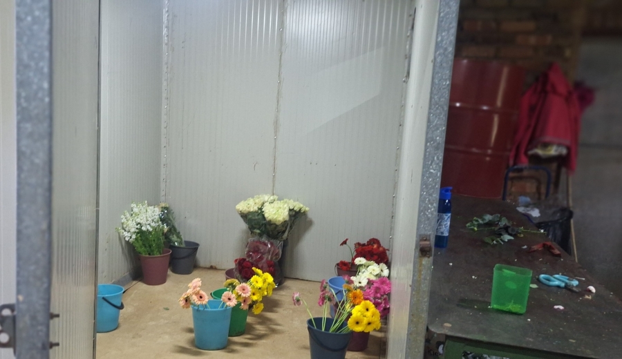 4 Bedroom Property for Sale in Mullerstuine Gauteng