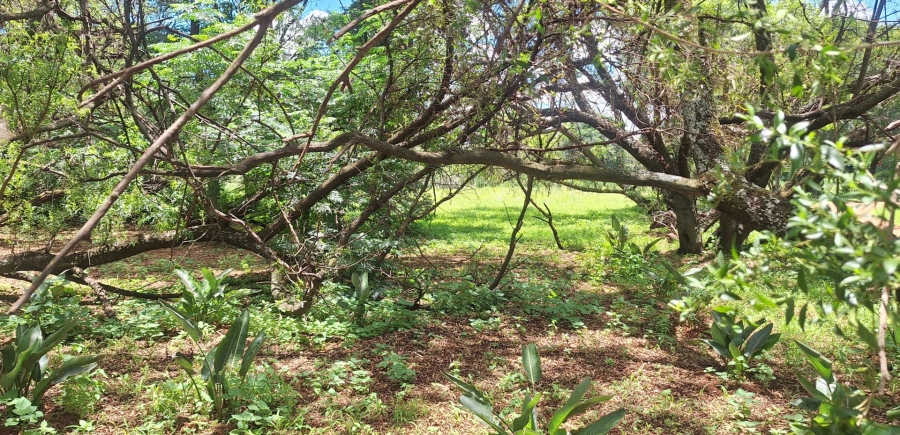 4 Bedroom Property for Sale in Mullerstuine Gauteng