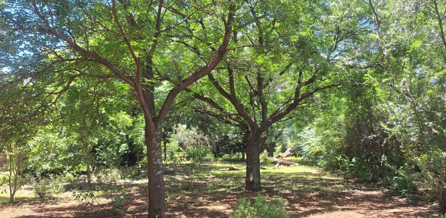 4 Bedroom Property for Sale in Mullerstuine Gauteng