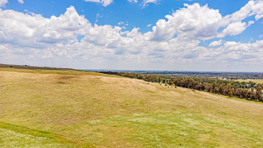 0 Bedroom Property for Sale in Walker Fruit Farms Gauteng