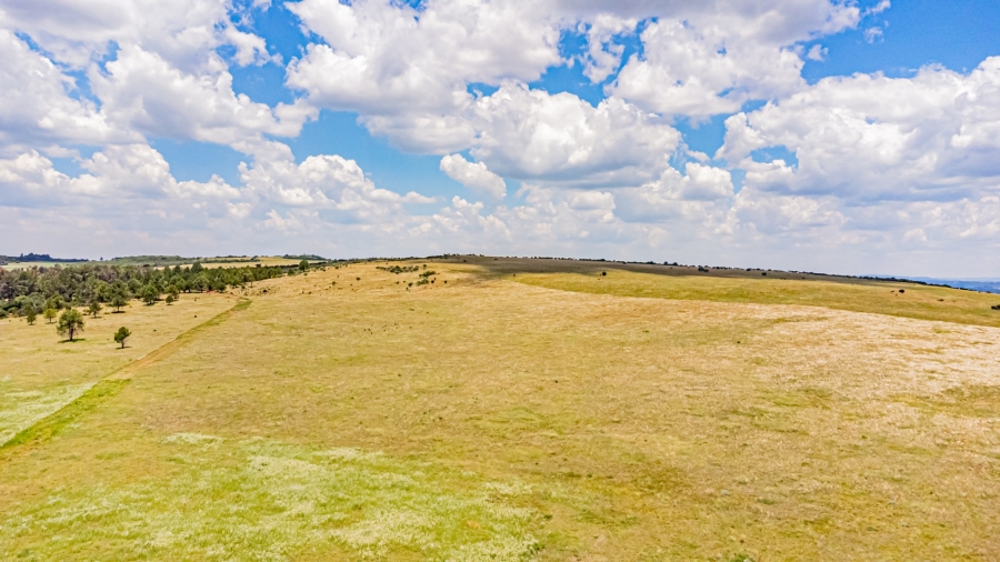 0 Bedroom Property for Sale in Walker Fruit Farms Gauteng