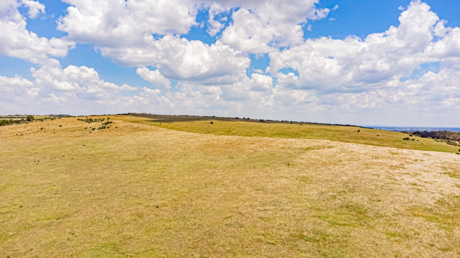 0 Bedroom Property for Sale in Walker Fruit Farms Gauteng