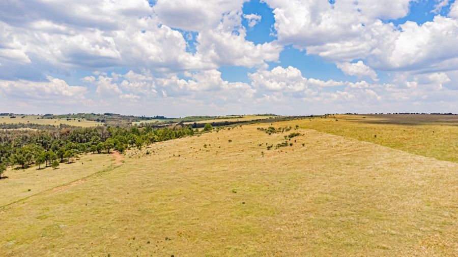 0 Bedroom Property for Sale in Walker Fruit Farms Gauteng