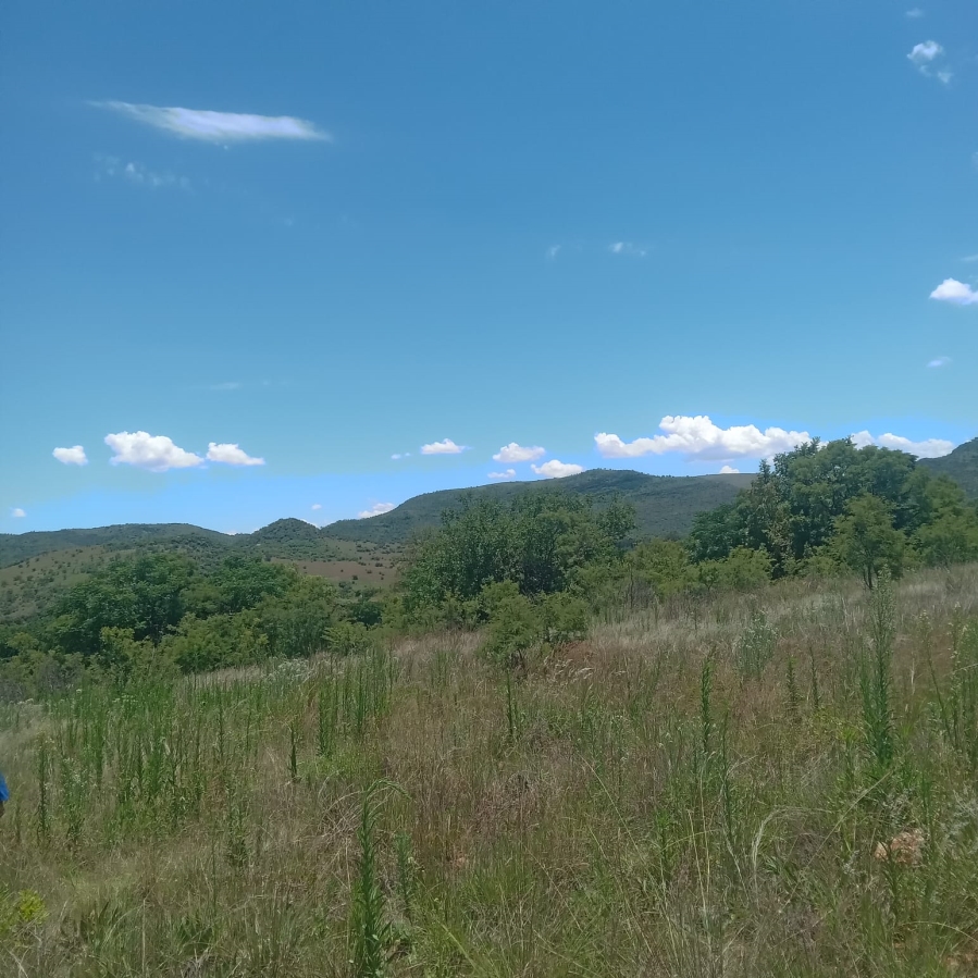 0 Bedroom Property for Sale in Hennops River Gauteng