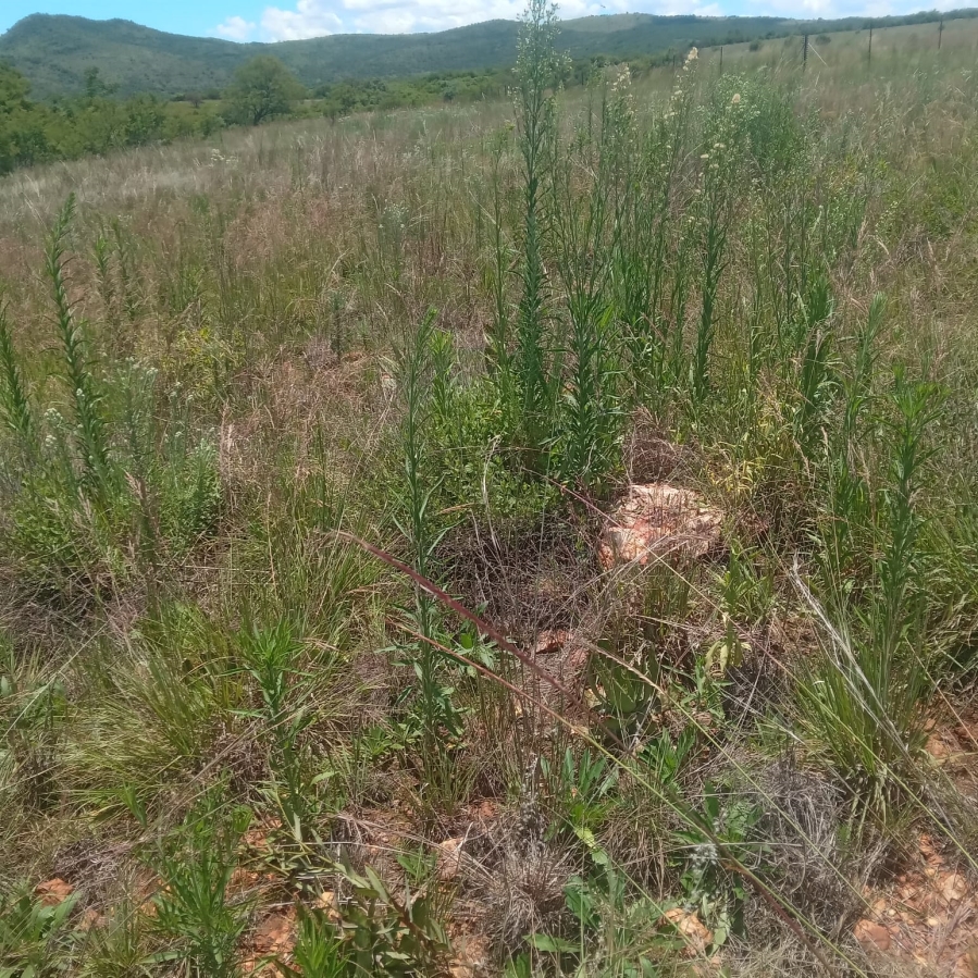 0 Bedroom Property for Sale in Hennops River Gauteng