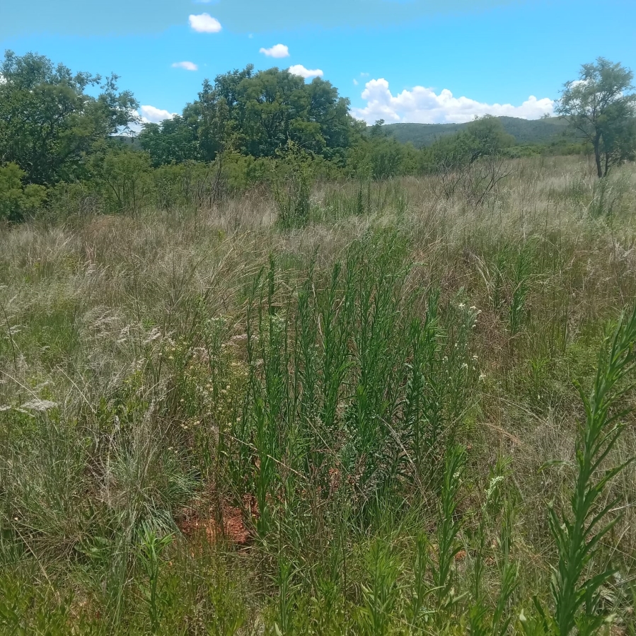 0 Bedroom Property for Sale in Hennops River Gauteng