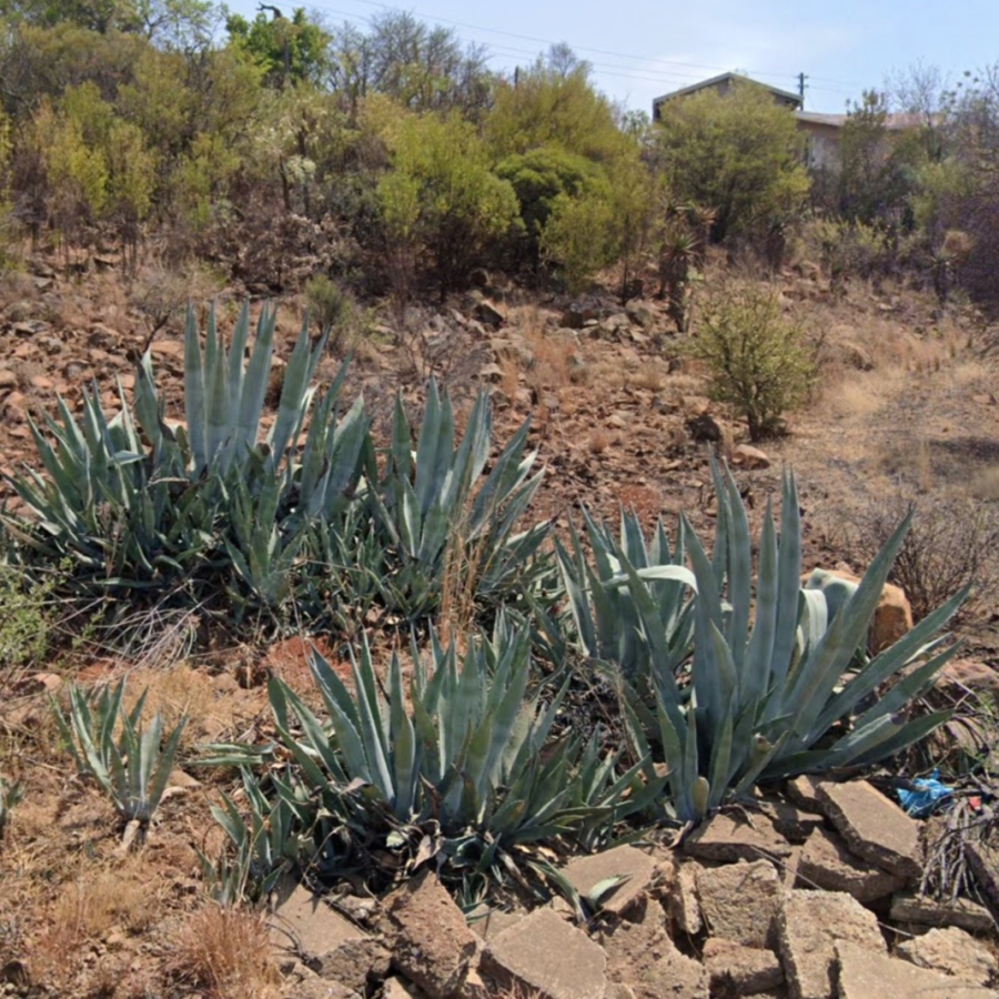 0 Bedroom Property for Sale in Vaal Marina Gauteng