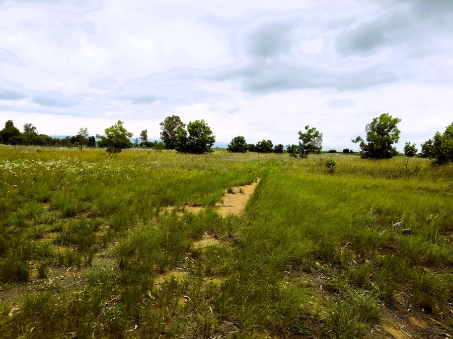 0 Bedroom Property for Sale in Valtaki Gauteng