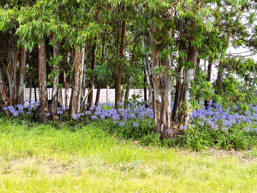 0 Bedroom Property for Sale in Valtaki Gauteng