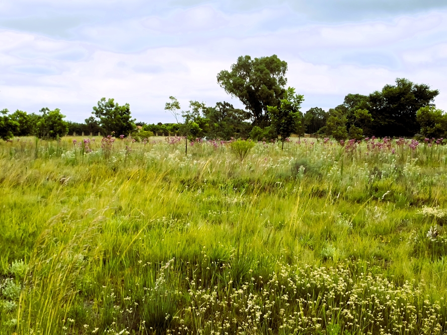 0 Bedroom Property for Sale in Valtaki Gauteng