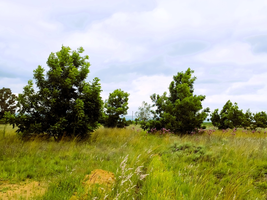 0 Bedroom Property for Sale in Valtaki Gauteng