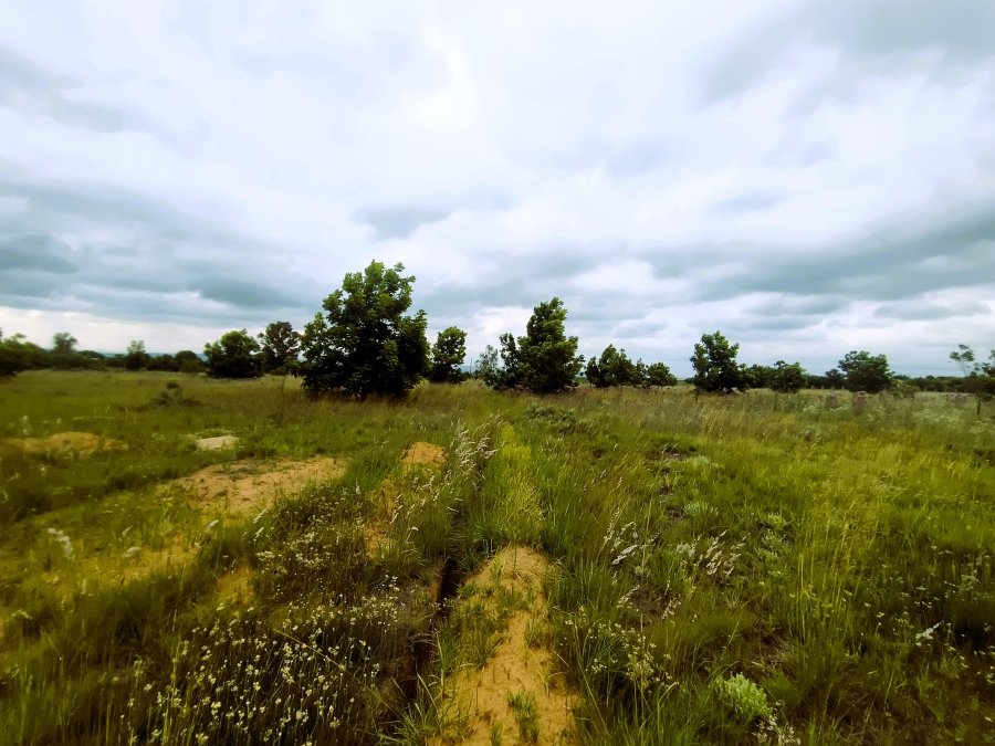 0 Bedroom Property for Sale in Valtaki Gauteng