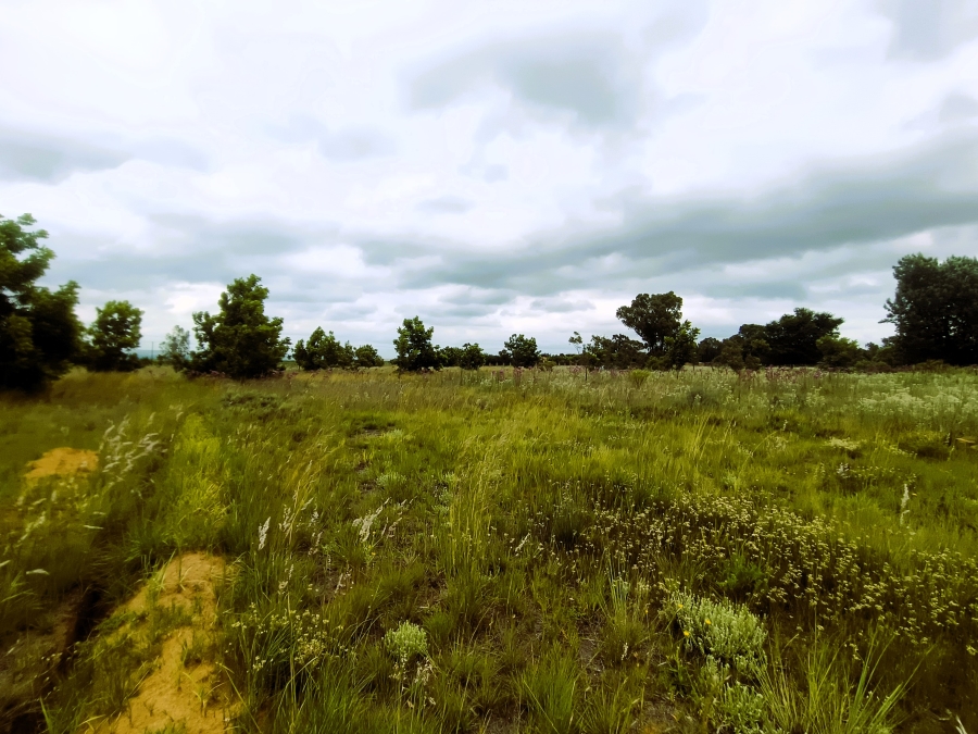 0 Bedroom Property for Sale in Valtaki Gauteng