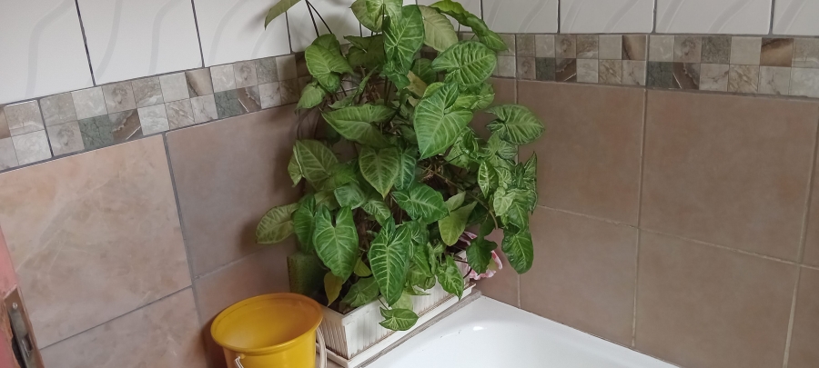 3 Bedroom Property for Sale in Etwatwa Gauteng