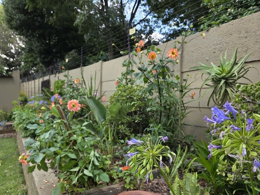 To Let 0 Bedroom Property for Rent in Ferndale Gauteng