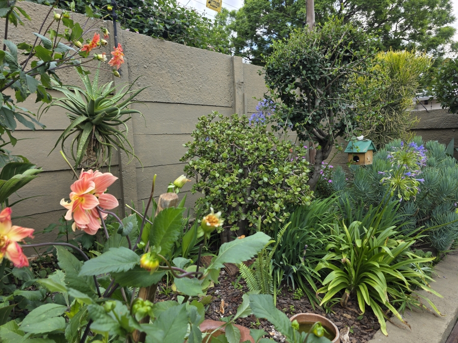 To Let 0 Bedroom Property for Rent in Ferndale Gauteng