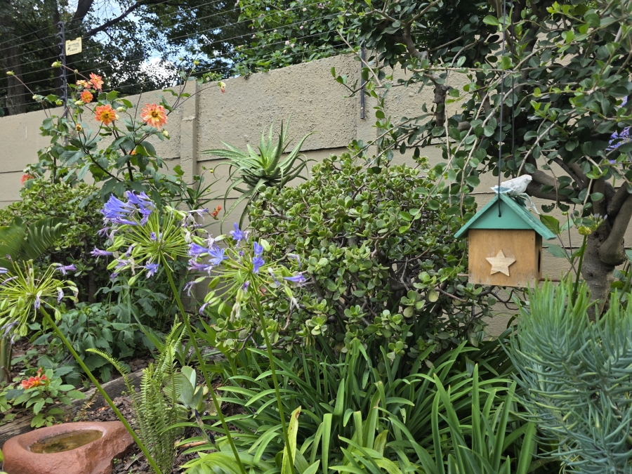 To Let 0 Bedroom Property for Rent in Ferndale Gauteng