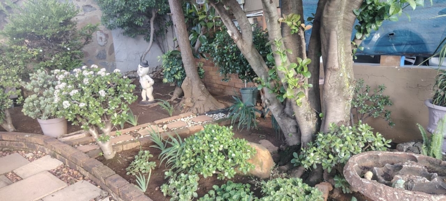 To Let 0 Bedroom Property for Rent in Brackendowns Gauteng