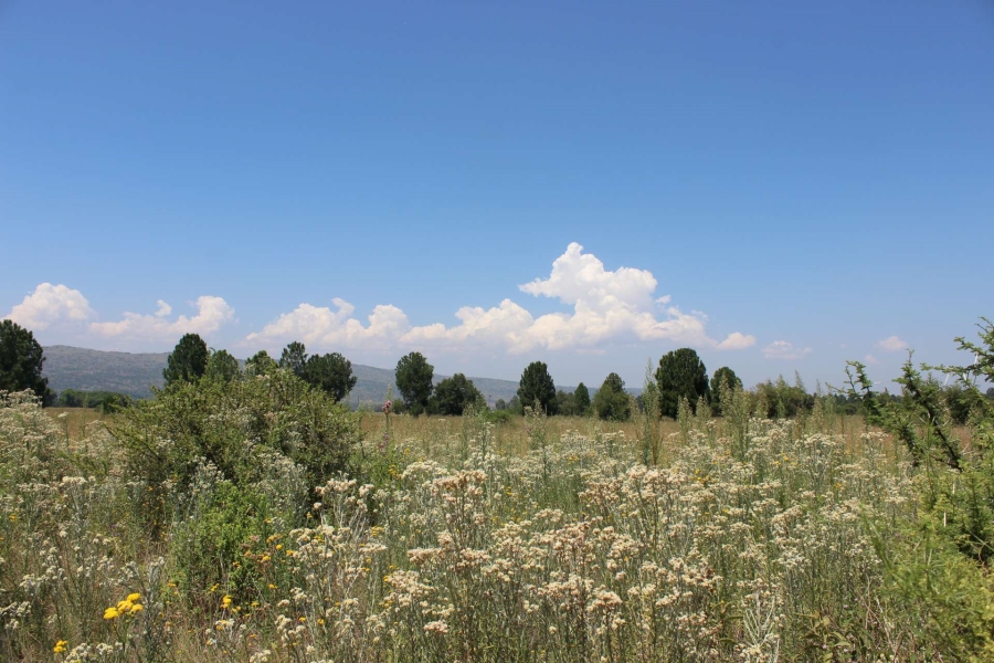 3 Bedroom Property for Sale in Kameeldrift West Gauteng