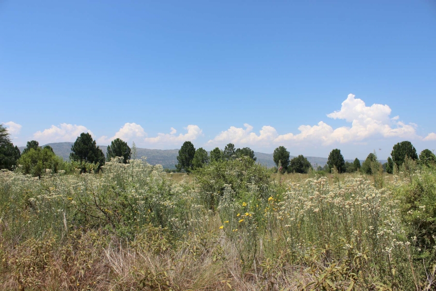 3 Bedroom Property for Sale in Kameeldrift West Gauteng