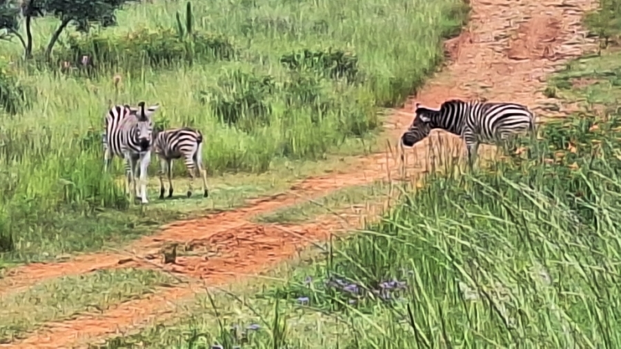 4 Bedroom Property for Sale in Roodeplaat Gauteng