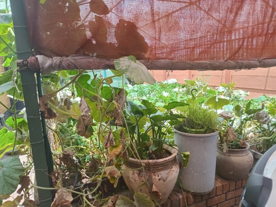 3 Bedroom Property for Sale in Vanderbijlpark CE 2 Gauteng