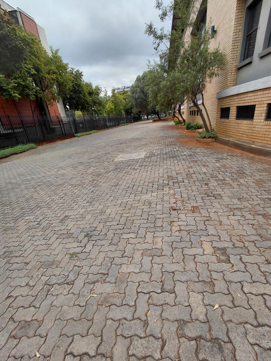 To Let commercial Property for Rent in Arcadia Gauteng