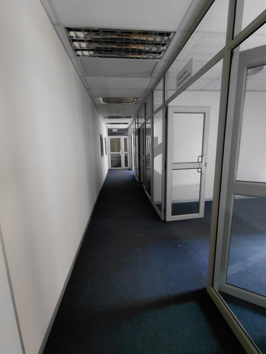 To Let commercial Property for Rent in Arcadia Gauteng