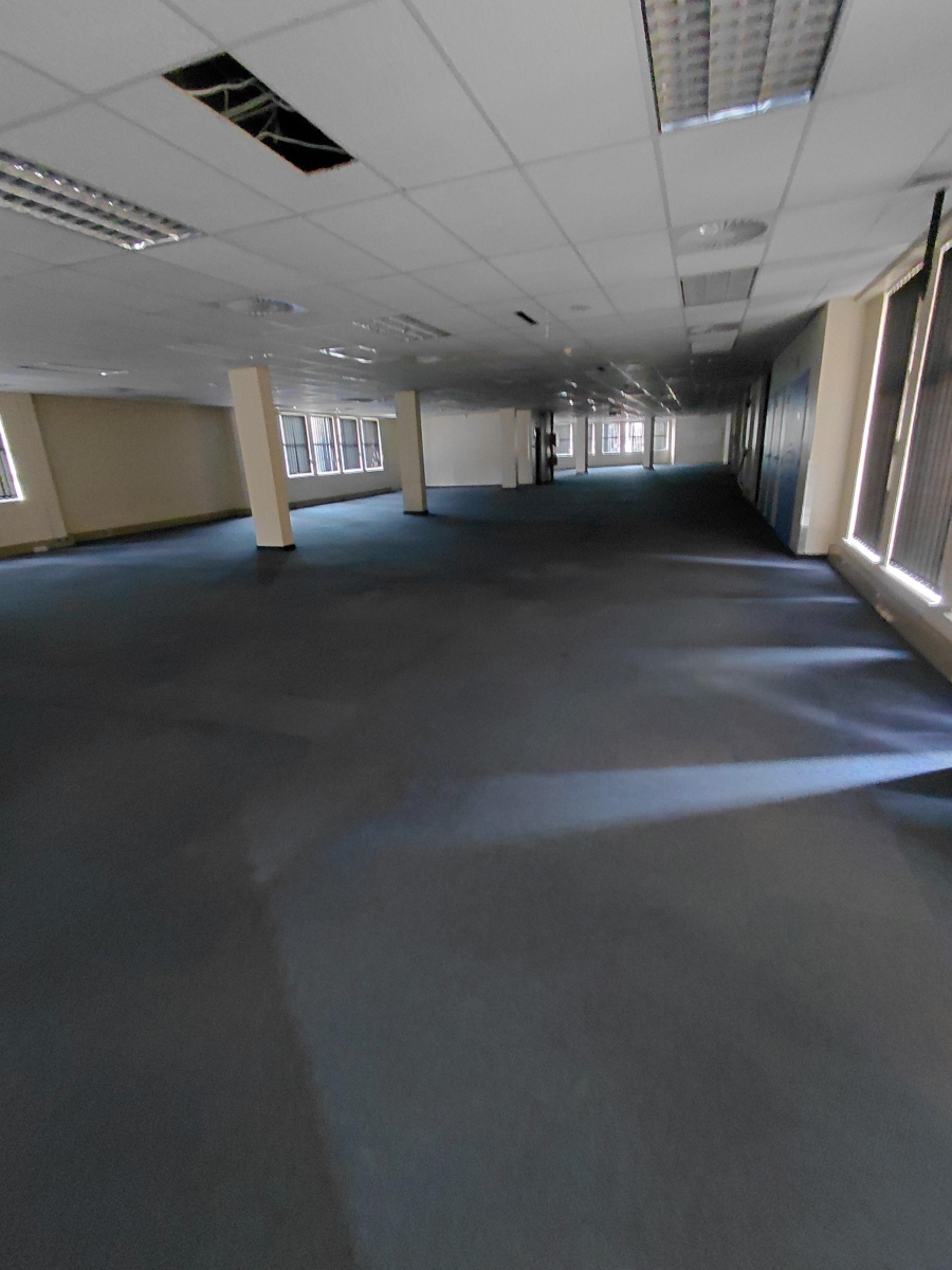 To Let commercial Property for Rent in Arcadia Gauteng