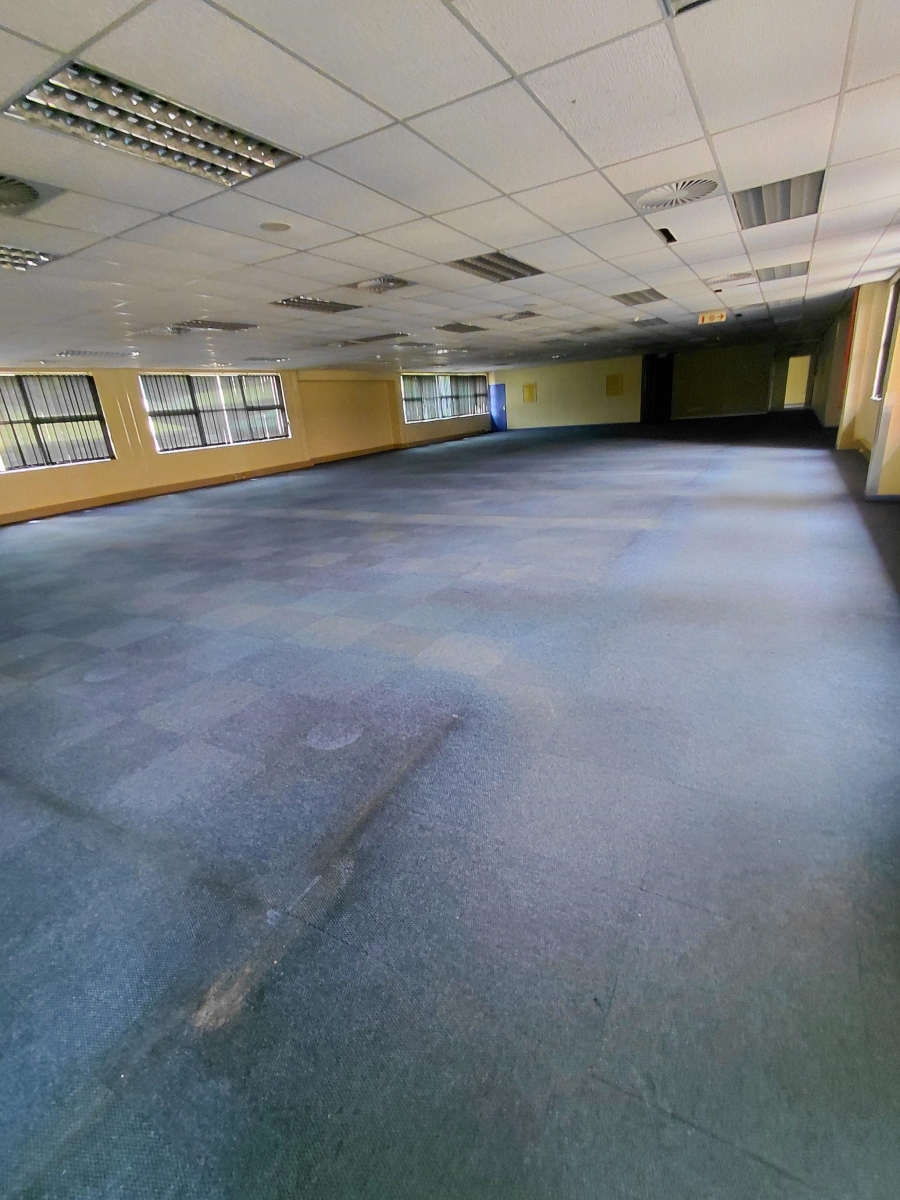 To Let commercial Property for Rent in Arcadia Gauteng