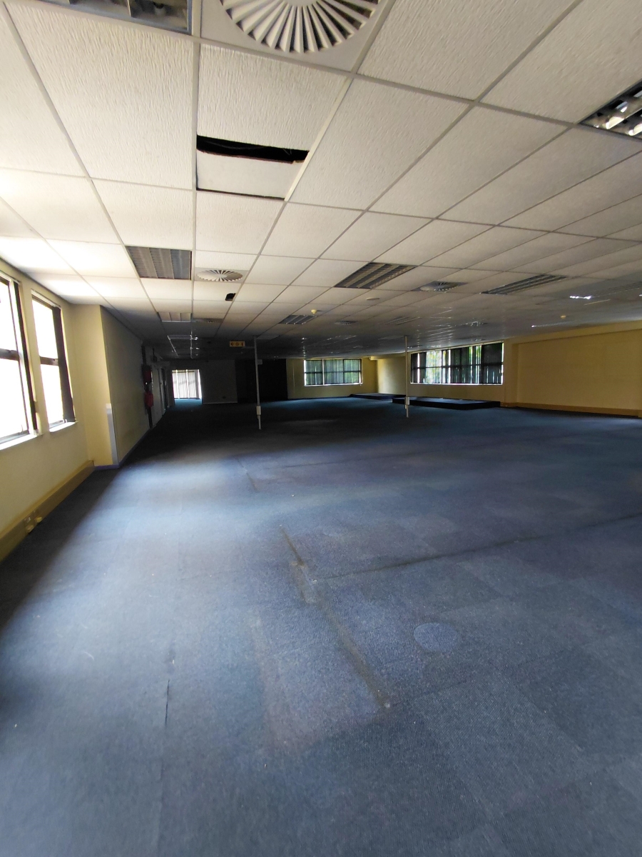 To Let commercial Property for Rent in Arcadia Gauteng
