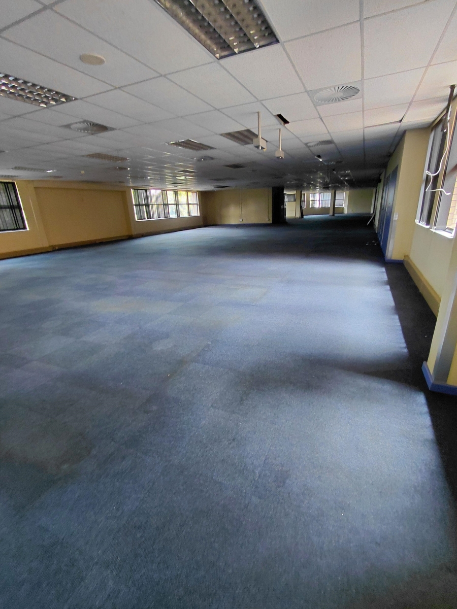 To Let commercial Property for Rent in Arcadia Gauteng
