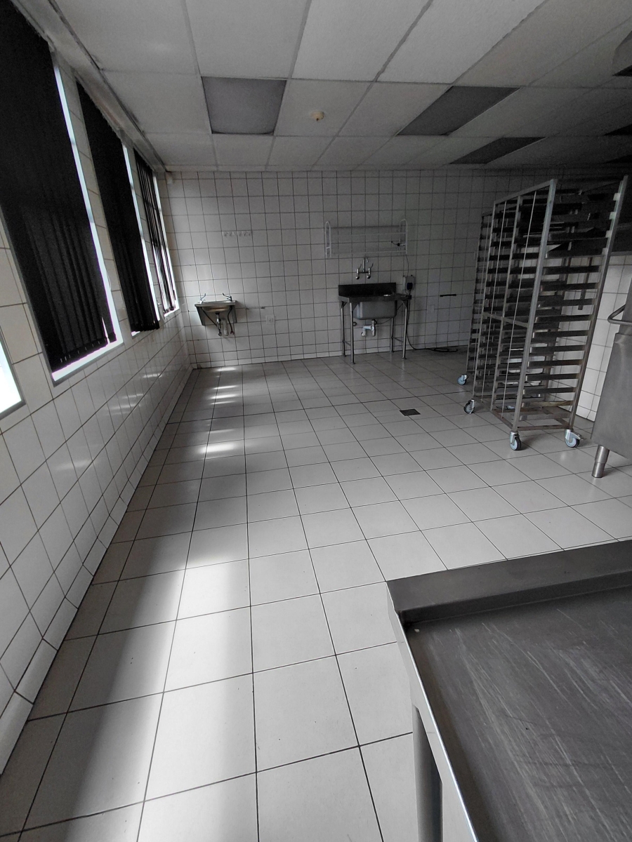 To Let commercial Property for Rent in Arcadia Gauteng