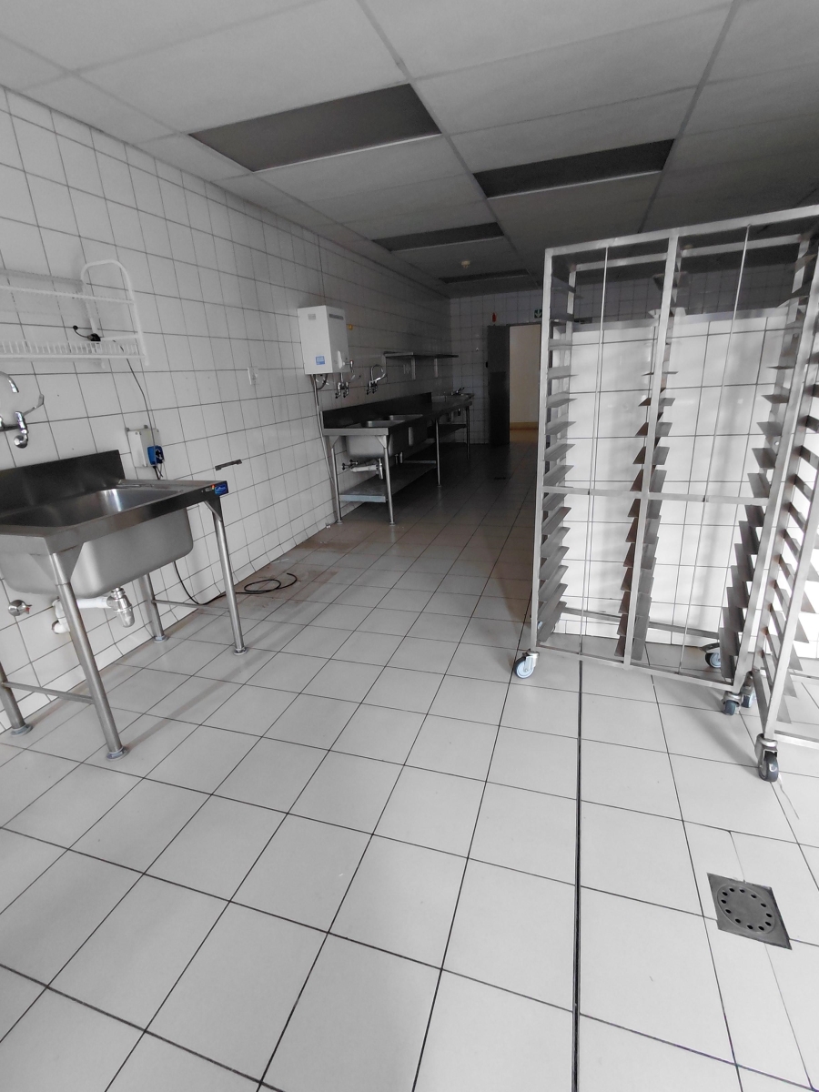 To Let commercial Property for Rent in Arcadia Gauteng