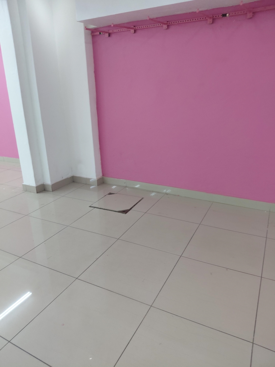 To Let commercial Property for Rent in Sunnyside Gauteng