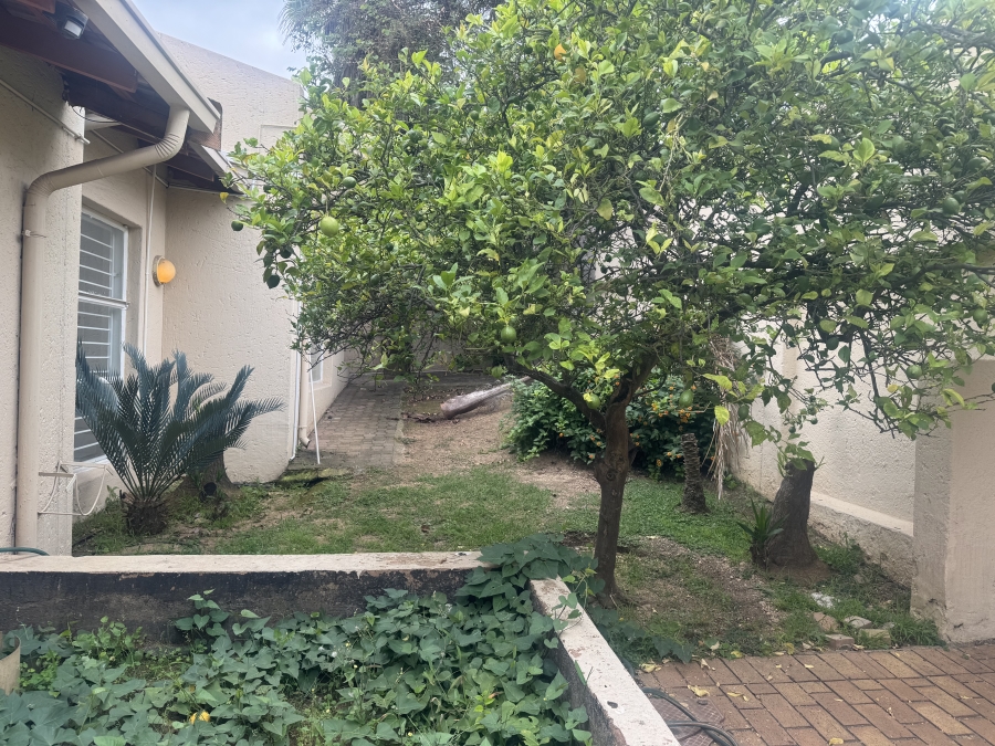 To Let 3 Bedroom Property for Rent in River Club Gauteng