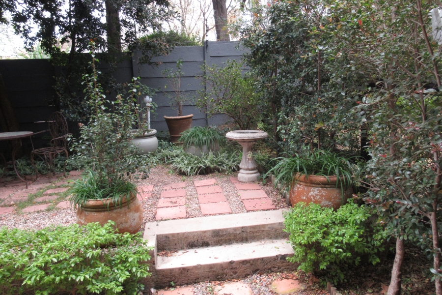 To Let 1 Bedroom Property for Rent in Benmore Gardens Gauteng