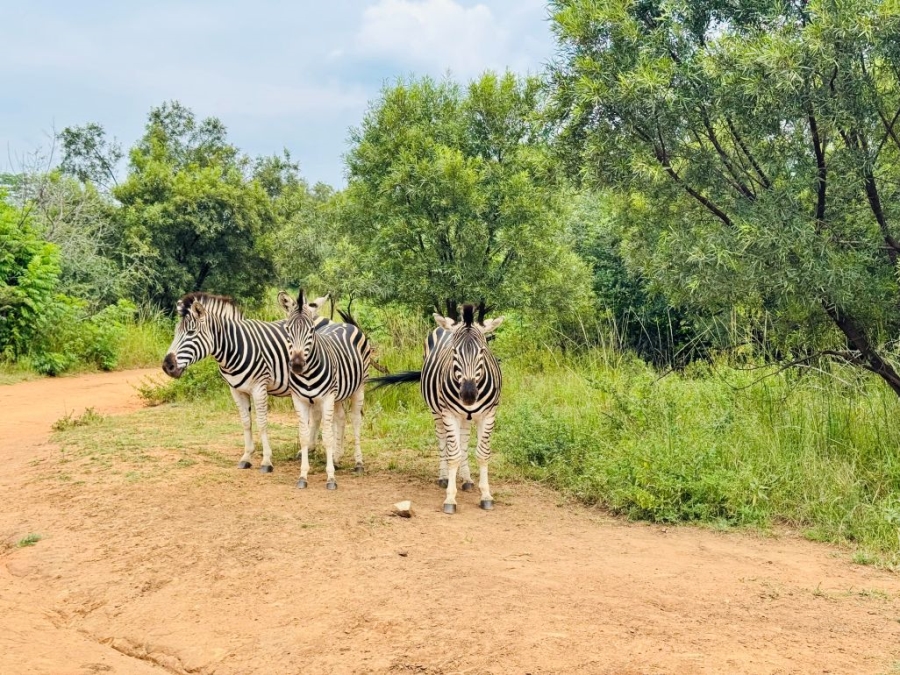 3 Bedroom Property for Sale in Roodepark Eco Estate Gauteng