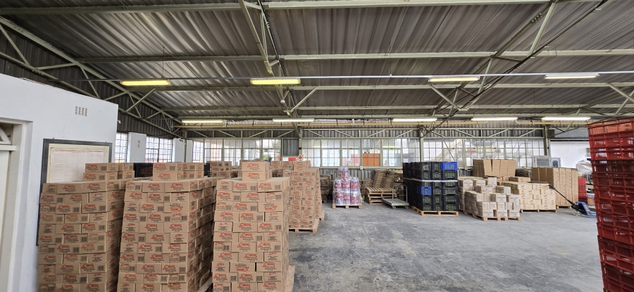 To Let commercial Property for Rent in Lea Glen Gauteng