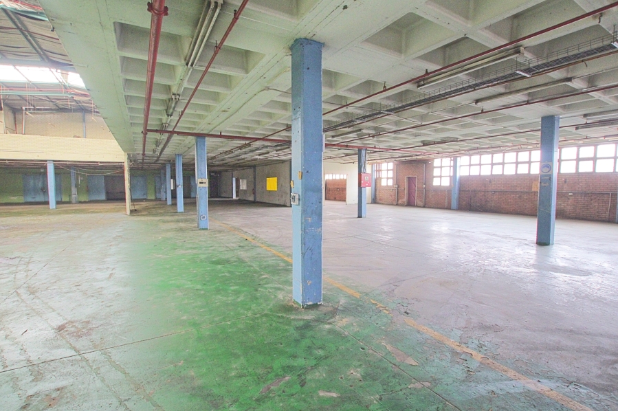 To Let commercial Property for Rent in Industria Gauteng