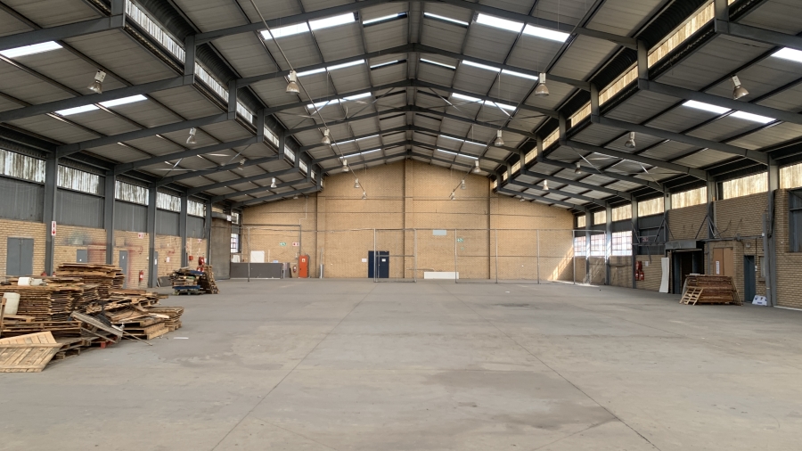 To Let commercial Property for Rent in Meadowdale Gauteng