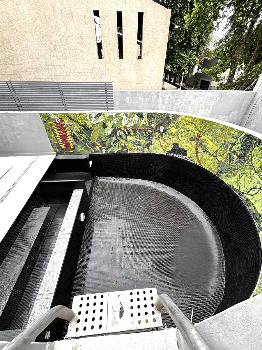 3 Bedroom Property for Sale in Norwood Gauteng