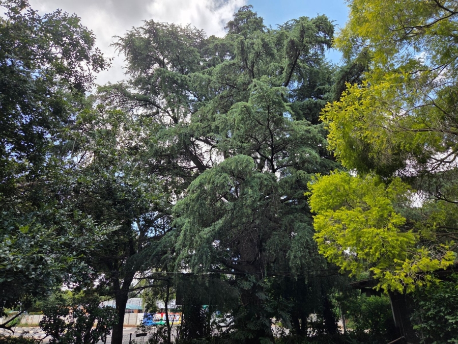 5 Bedroom Property for Sale in Lyttelton Manor Gauteng