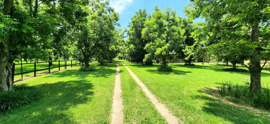 4 Bedroom Property for Sale in Zeekoeigat Gauteng