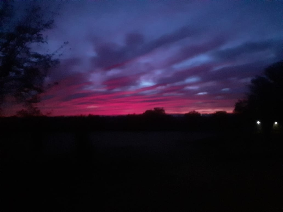 4 Bedroom Property for Sale in Zeekoeigat Gauteng