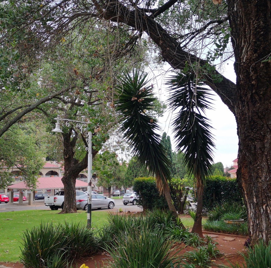 To Let 1 Bedroom Property for Rent in Albertville Gauteng